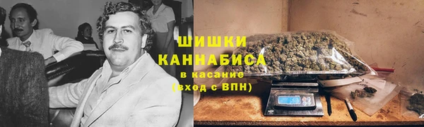 трава Дмитриев
