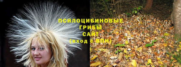 круглые Дмитровск