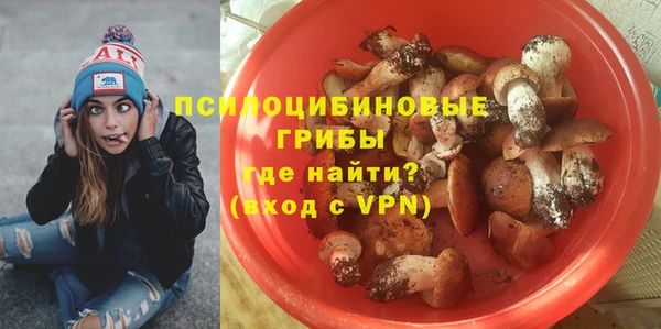 Альфа ПВП Дмитров
