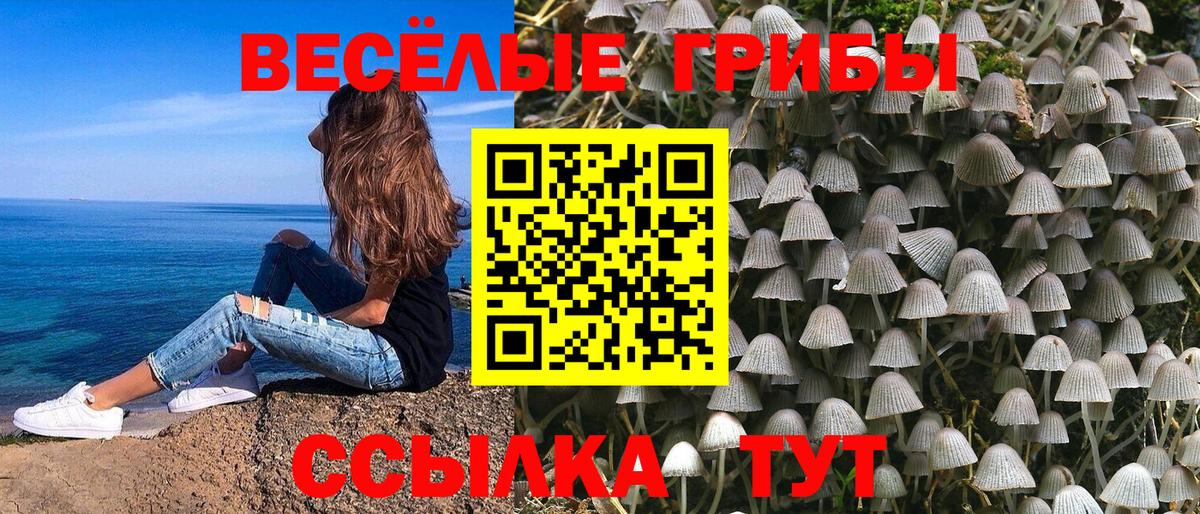 Псилоцибиновые грибы прущие грибы  Вход с VPN  Галлюциногенные грибы MAGIC MUSHROOMS  Ефремов 