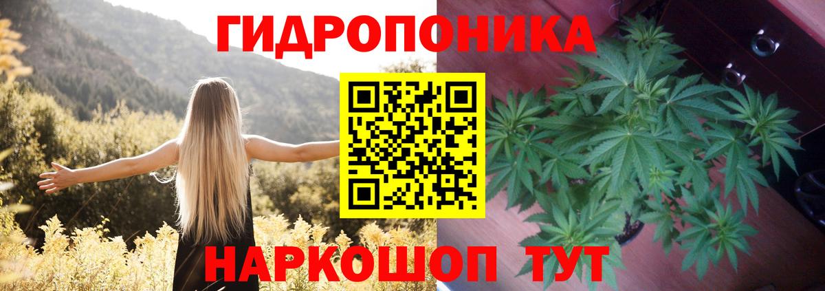 Конопля AK-47 Ефремов